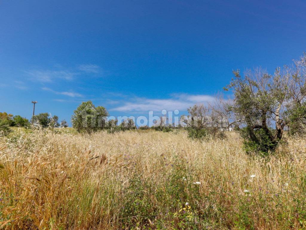 Giardino/Terreno