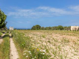 Giardino/Terreno