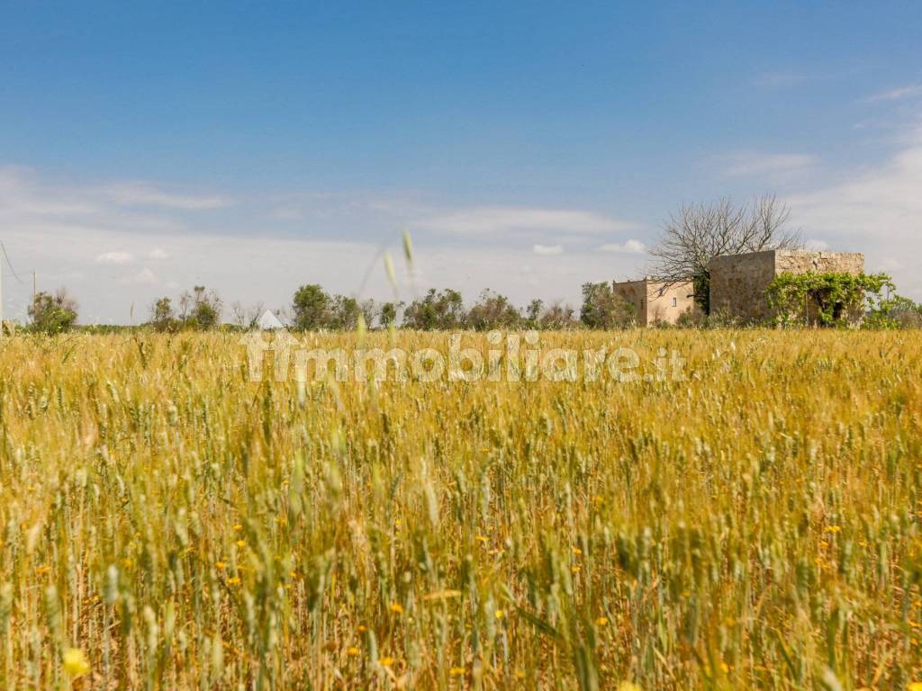 Giardino/Terreno