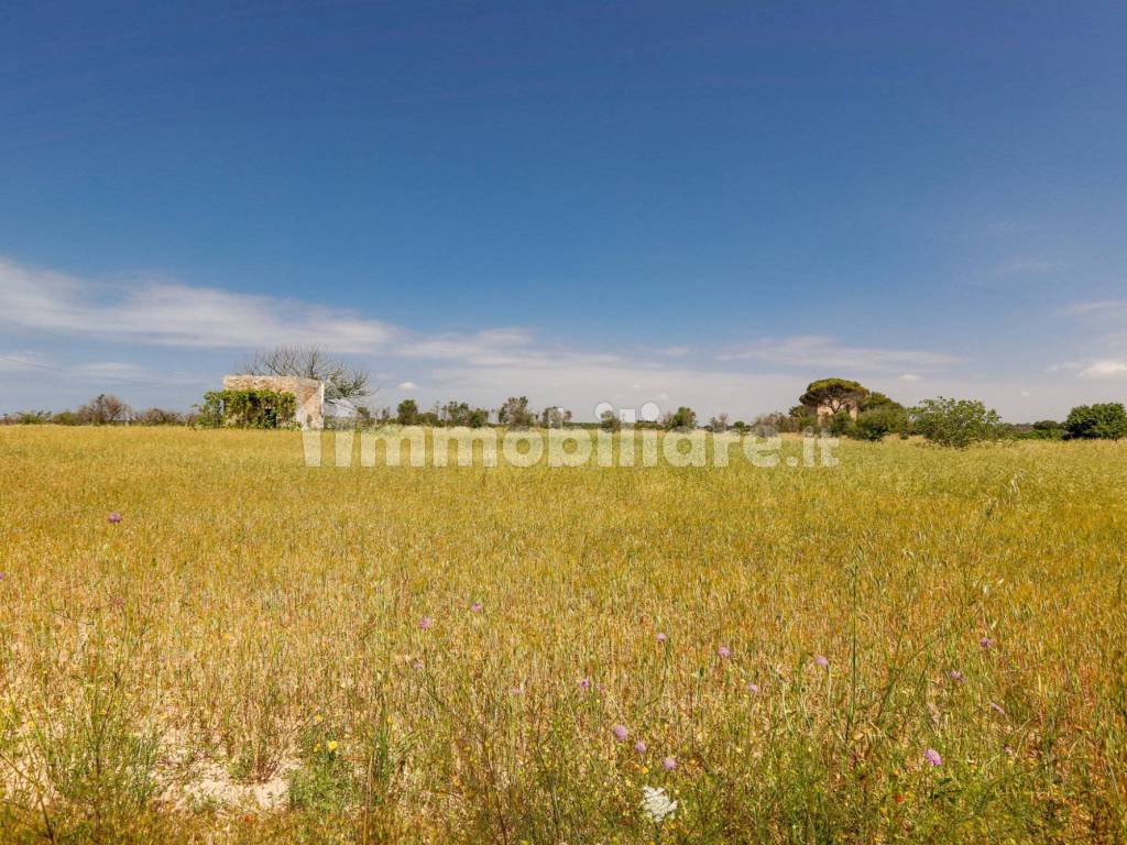 Giardino/Terreno