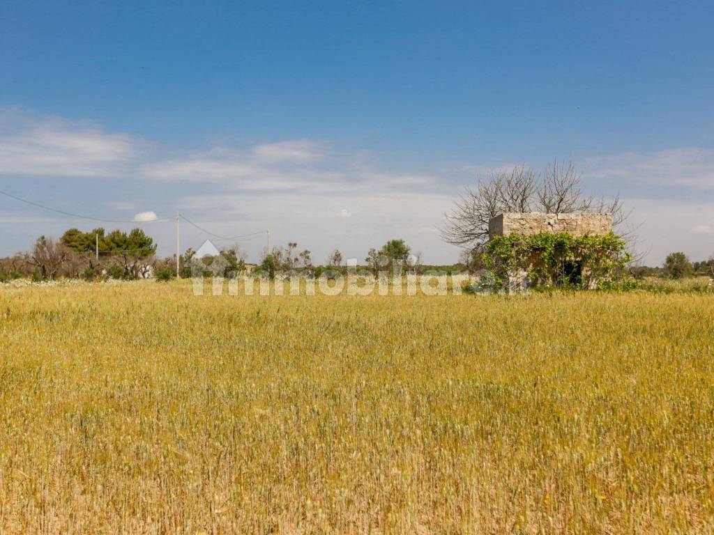 Giardino/Terreno