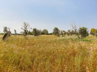 Giardino/Terreno