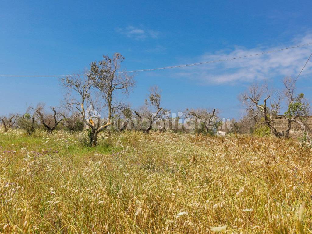 Giardino/Terreno