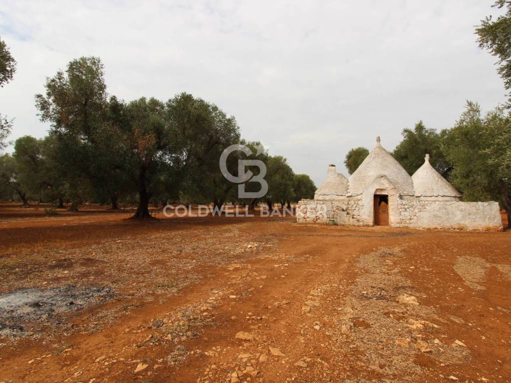 Trullo 1