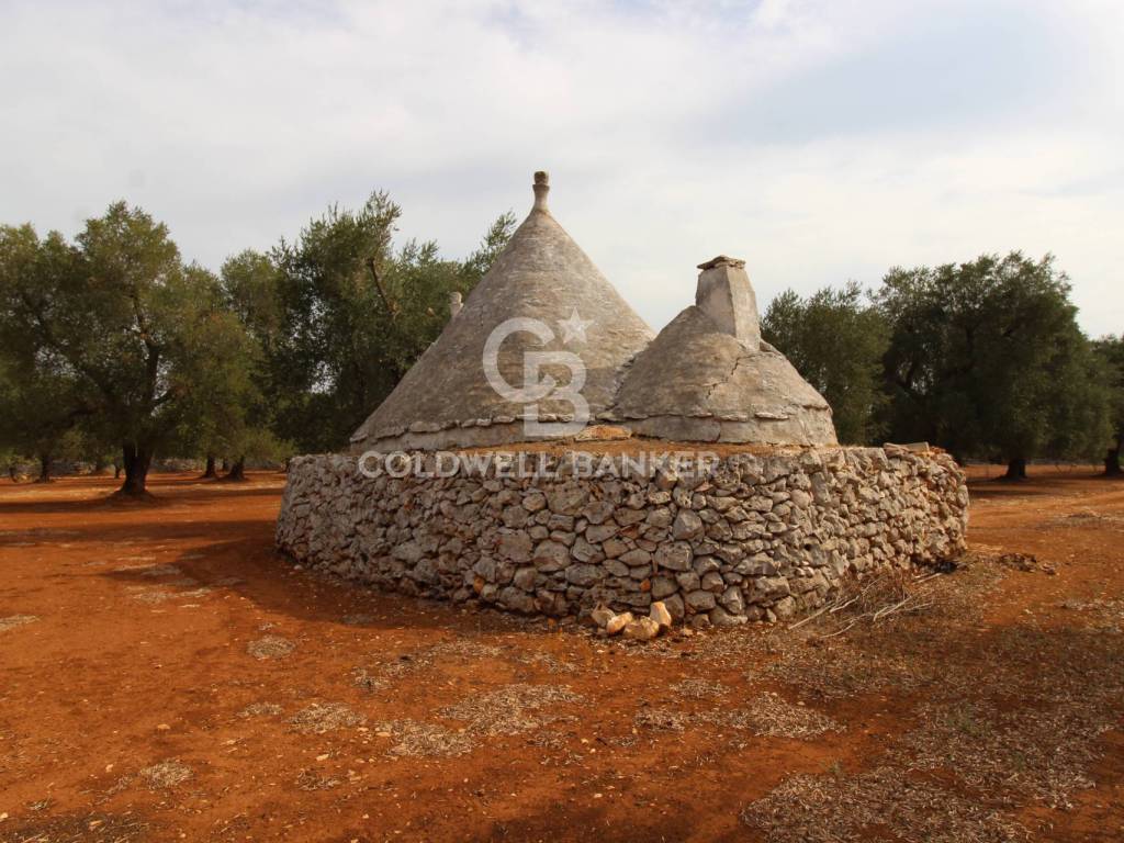 Trullo 6