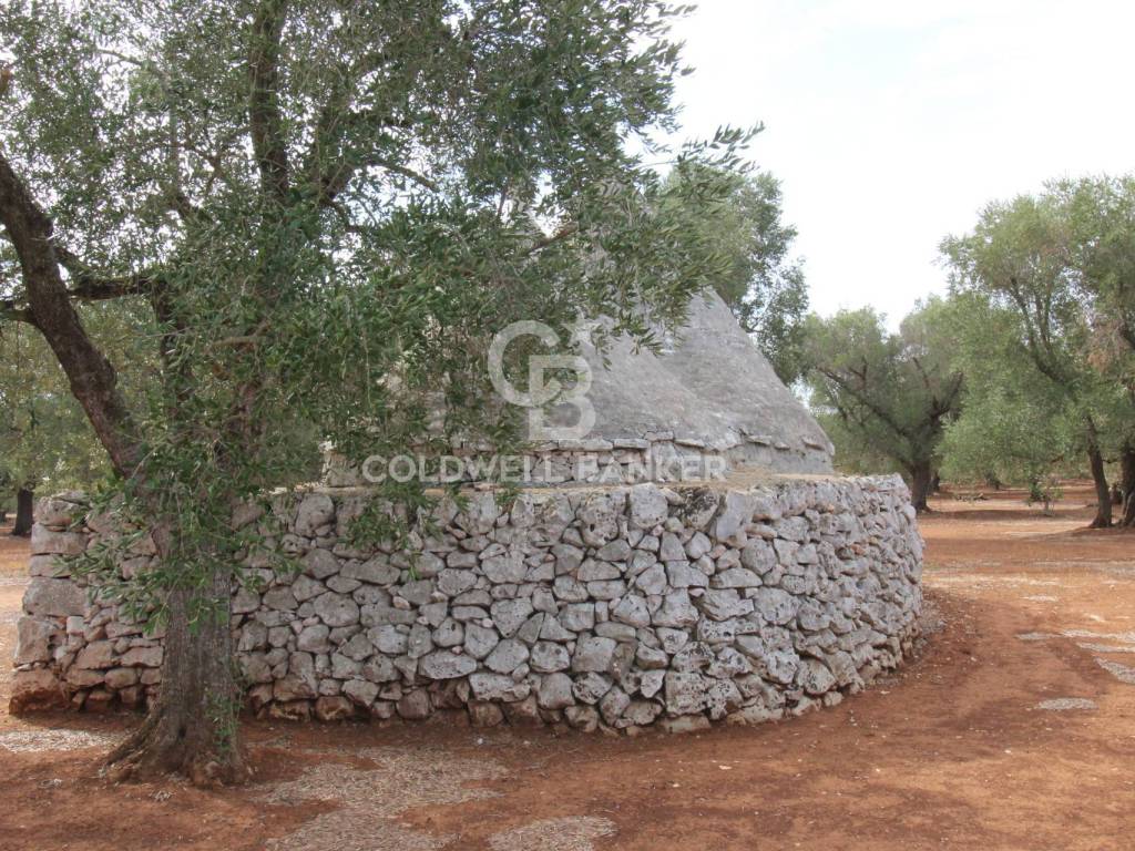 Trullo 12