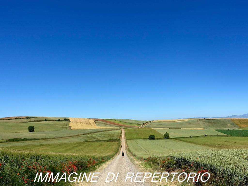 immagini di repertorio