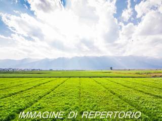 immagini di repertorio