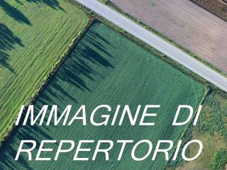 immagini di repertorio