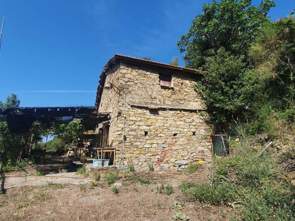 Terreno agricolo via campi 4, centro, taggia