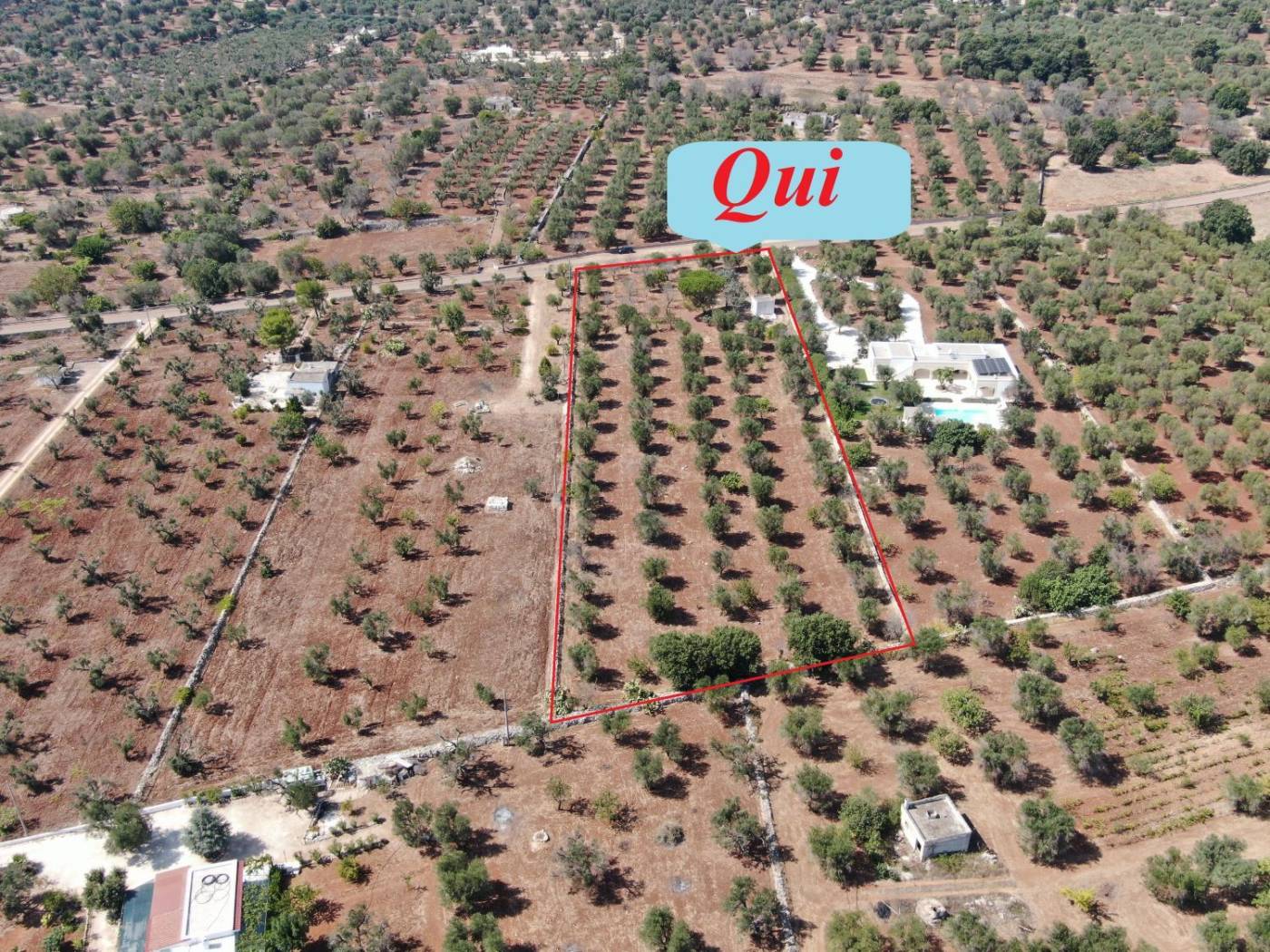 Rustico - Casale - foto 3