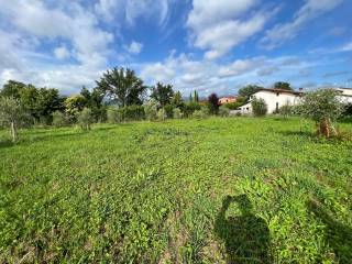 terreno agricolo Marina di Massa