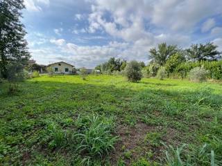 terreno agricolo Marina di Massa