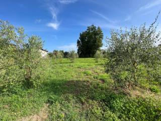 terreno agricolo Marina di Massa