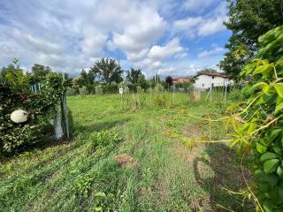 terreno agricolo Marina di Massa