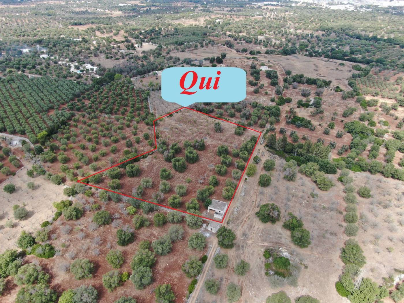 Rustico - Casale in vendita a Carovigno