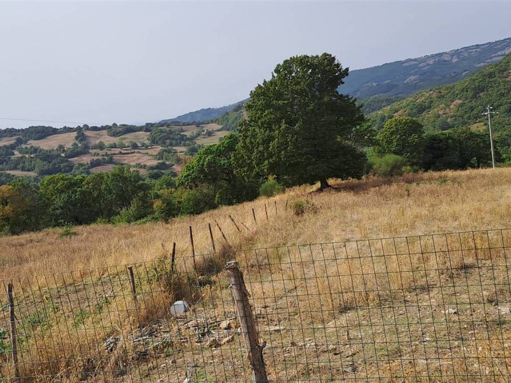 Terreno agricolo, centro, roccalbegna