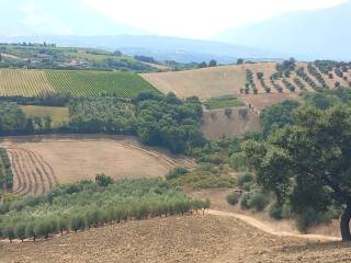 terreno