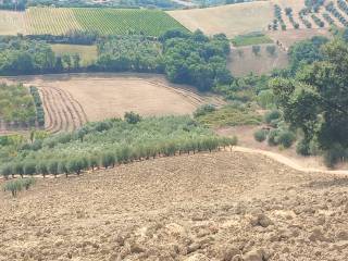 terreno