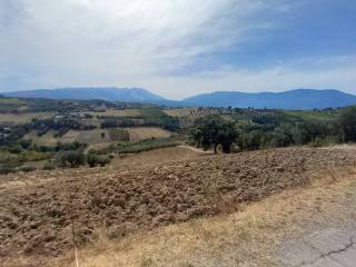 terreno