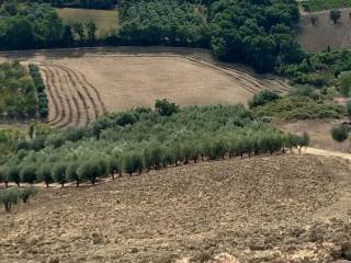 terreno