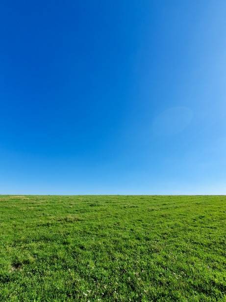green grass and blue sky 1567765402wll