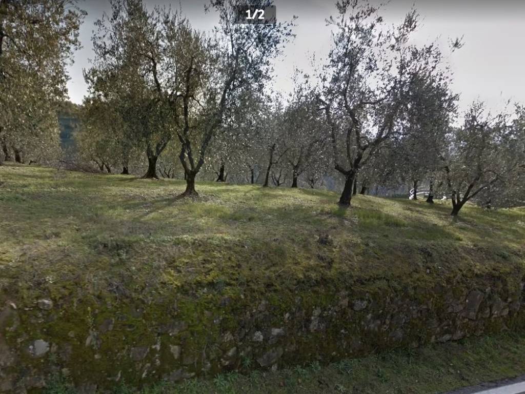 Terreno agricolo, fornello, lamporecchio