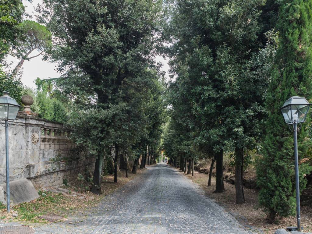 Viale d'ingresso