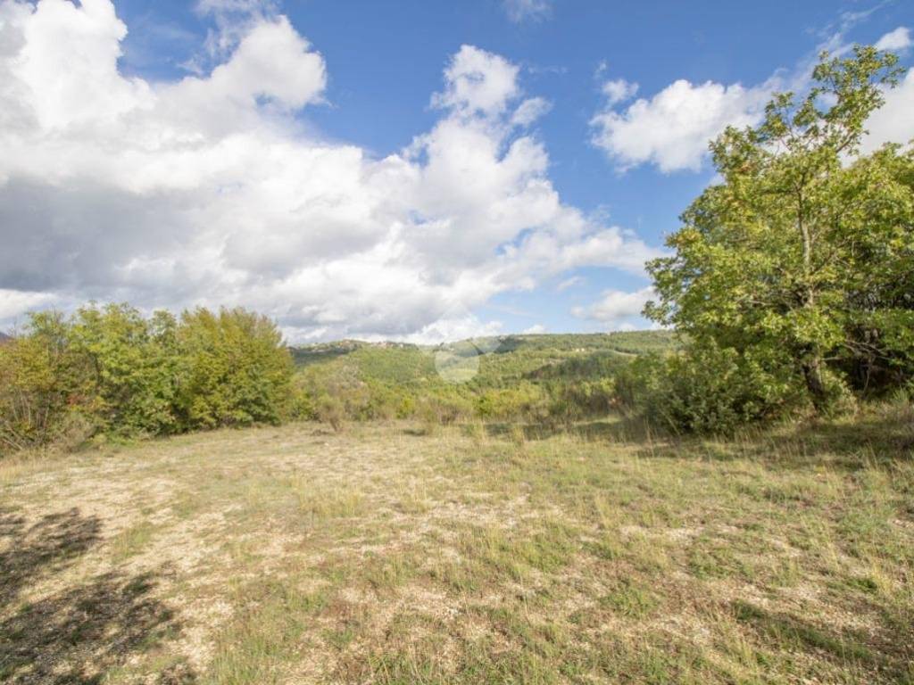 Terreno agricolo localita' macchie basse strada provinciale, labro