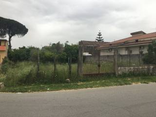 251088487.jpg