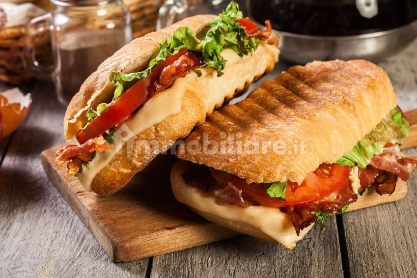 panini bar  fileminimizer