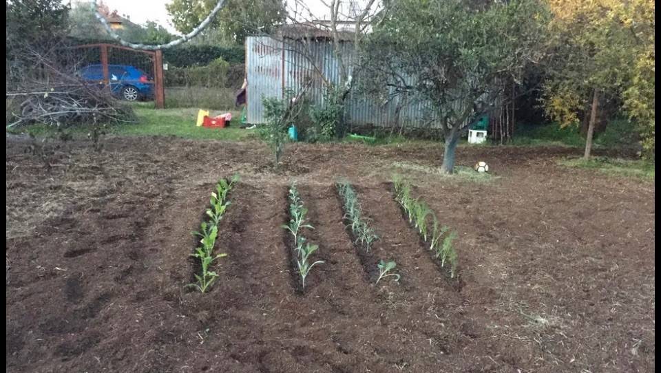 Terreno agricolo via momperone 5, osteria nuova, roma