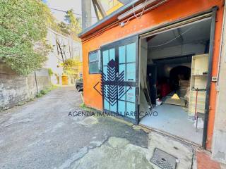 Ingresso