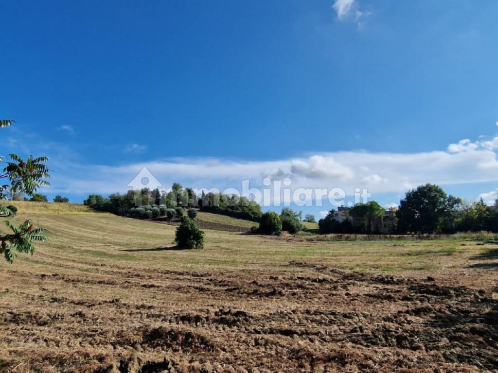 vista panoramica dai balconi sulla collina