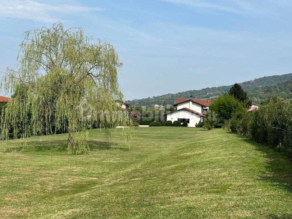 Terreno