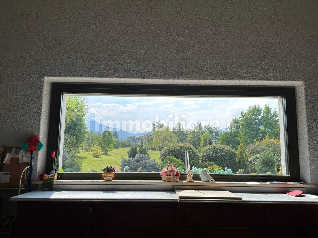 Vista