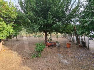 Foto 57
