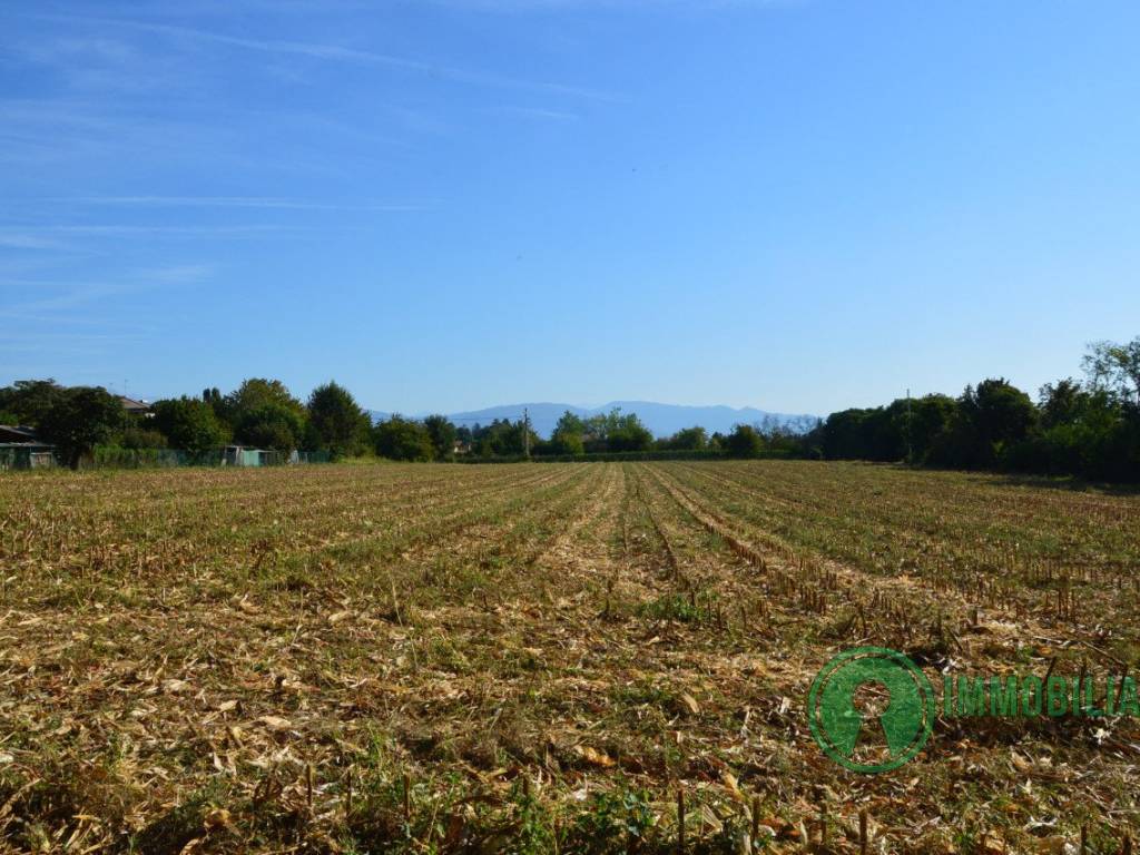 terreno-pagnacco