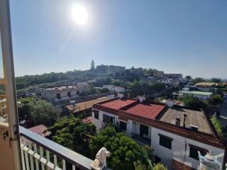 Vista