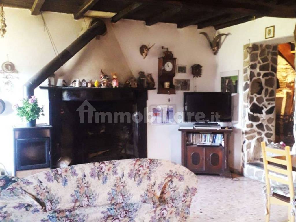 504266851.jpg