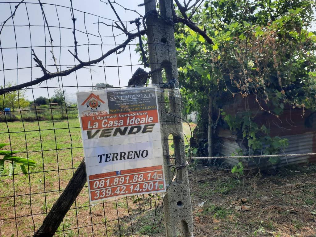 terreno