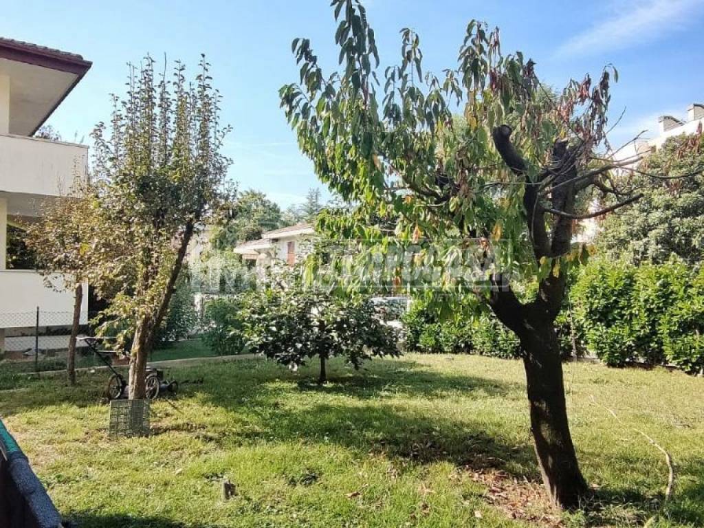 Giardino