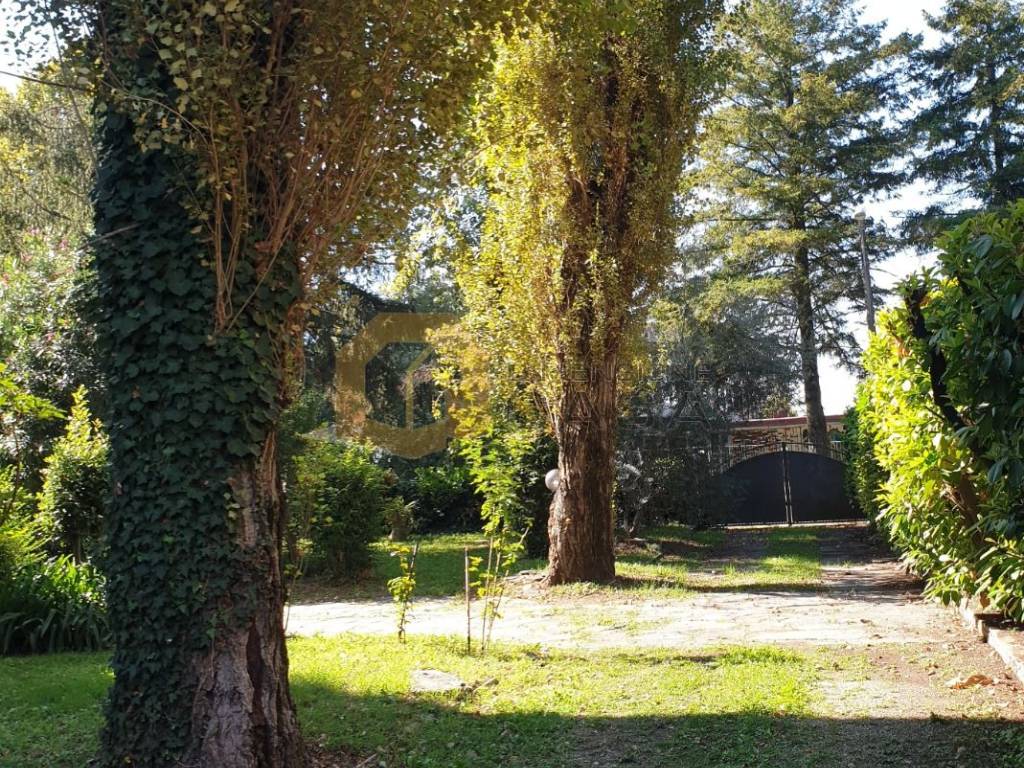 Giardino