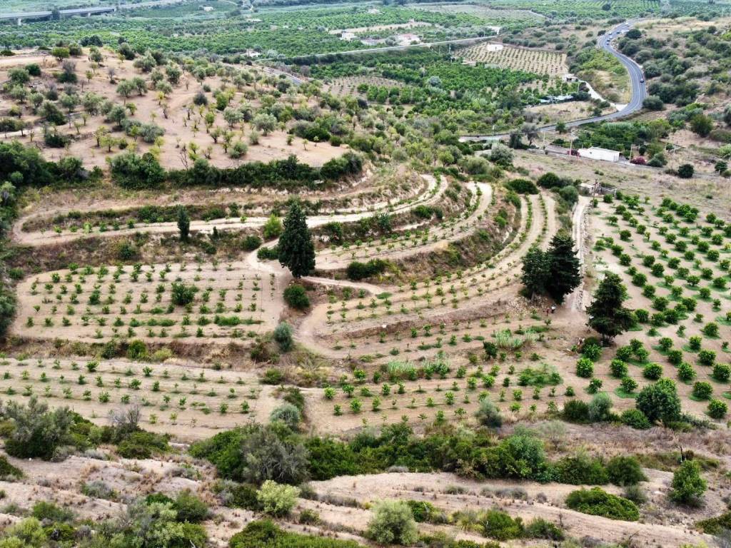 Terreno edificabile strada statale sud occidentale sicula, avola