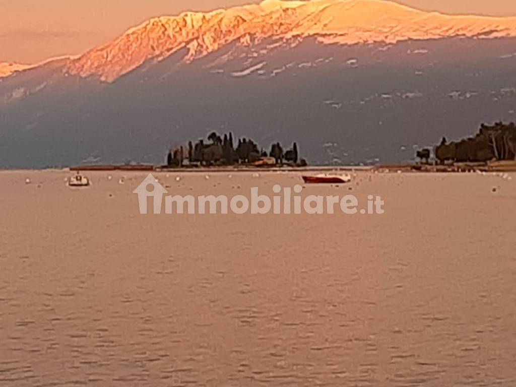 Isola dei conigli