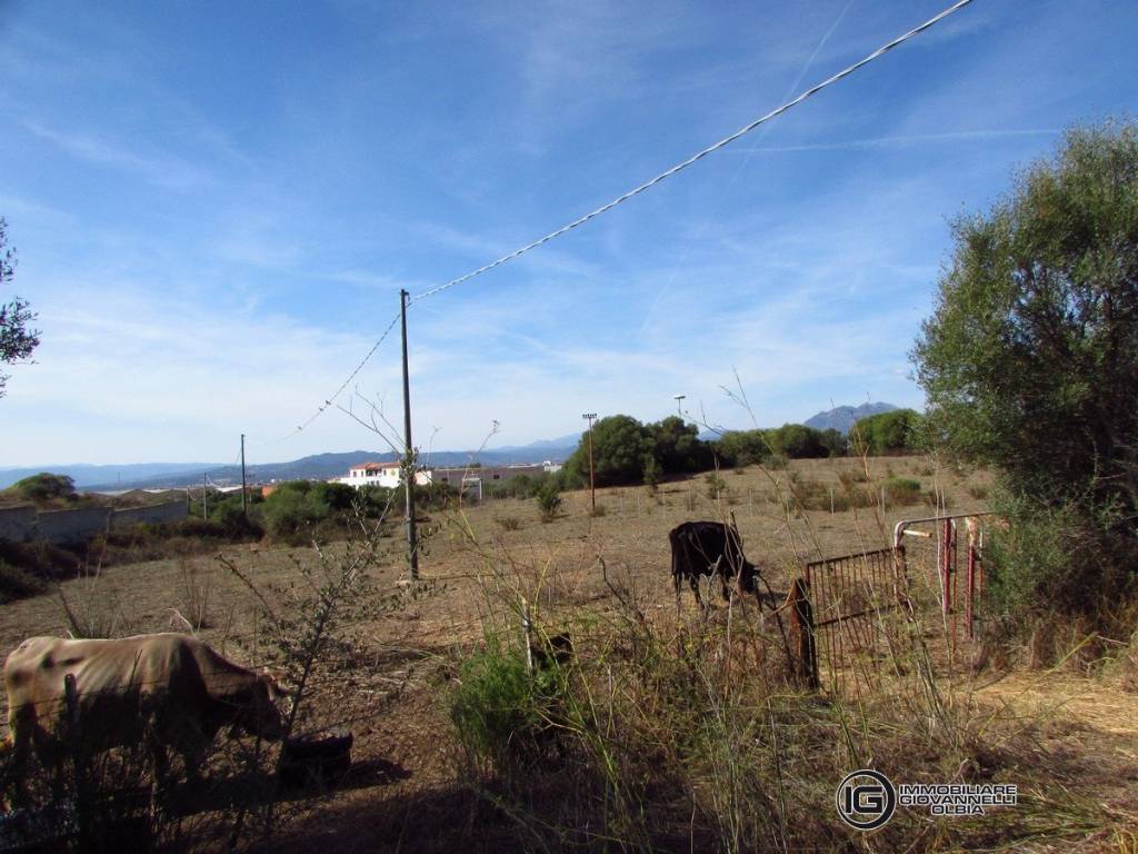 Vendita terreno agricolo - 3