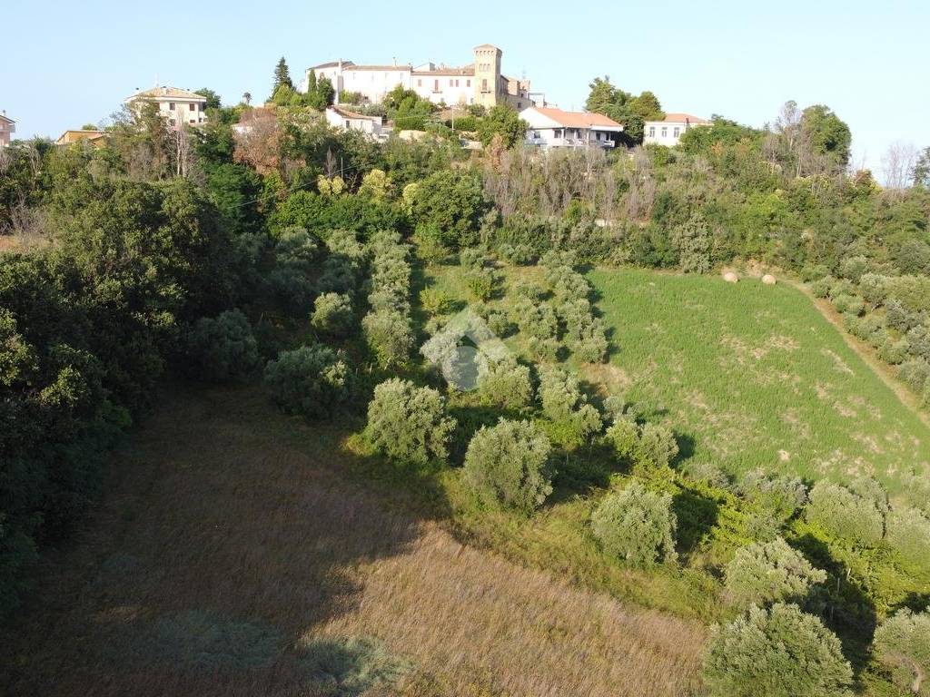 terreno agricolo (5)