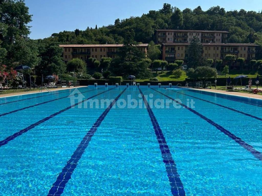 Piscina olimpionica 