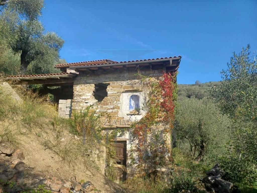 Terreno agricolo, dolceacqua