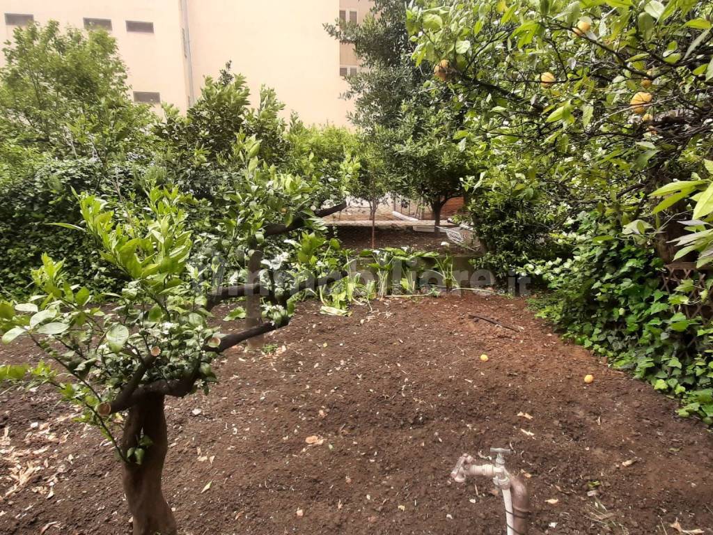 Vista Giardino 4